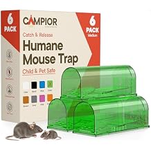 Campior Humane Mouse Trap Pack of 6, Live Mouse Traps Catch and Release for Indoors & Outdoors, Pet & Child Safe, 6.69" Reusable Plastic Mouse Cage with Spring Door, Cleaning Brush Included, Green