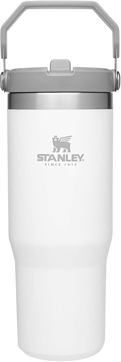 STANLEY IceFlow Stainless Steel Tumbler with Straw - Vacuum Insulated Water Bottle for Home, Office or Car - Reusable Cup with Straw Leak Resistant Flip - Cold for 12 Hours or Iced for 2 Days (Polar)