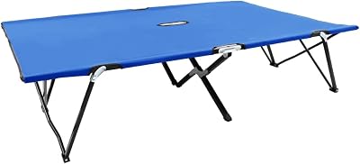 Two Person Folding Sun Lounger, Backyard Furniture Outdoor Daybed Lounge Chaise Patio daybed Suitable for Poolside Garden Beach Deck Blue Steel