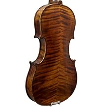 Paititi 3/4 Size PTVNSH100 Premium Hand Carved Ebony Fitted Violin Outfit with Case, Bow, String, Tuner, Mute and Rosin