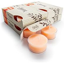 Bayberry Fir Premium Tealight Candles Bulk Pack - Highly Scented with Essential Oils - 24 Green Tea Lights - Beautiful Candlelight - Made in the USA - Christmas & Holiday Collection