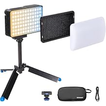 amaran Ace 25x Travel Ready Compact LED Light Creator Kit with Ace Lock Quick-Release Mount, Optical Design, and Long-Lasting Battery (Charcoal)