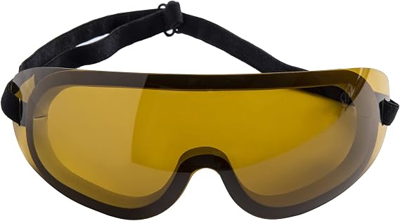 Eagle Eyes Safety Goggles PanoShield Anti-Fog Protective Goggles ANSI Z87.1 UV Protection Scratch Resistant