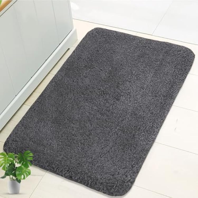 wyewye Bathroom Rugs,Bathroom Mats for Bathroom Non Slip, Shaggy Soft and Absorbent Microfiber Bath Mats, Thick Plush Machine Washable Dry Bath Rugs for Floor, Tub and Shower,24x16Deep Grey