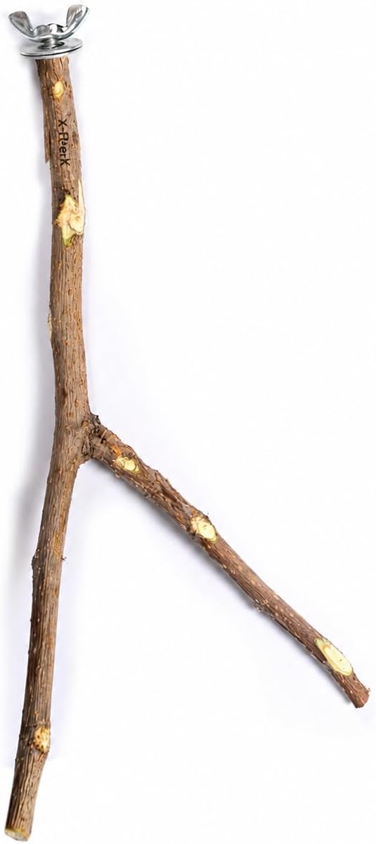 Doğal Ağaç Çatallı Kuş Tüneği Papağan Tünek Kafes İçin Doğal Ahşap Dal Tünek Boy 25-30 cm
