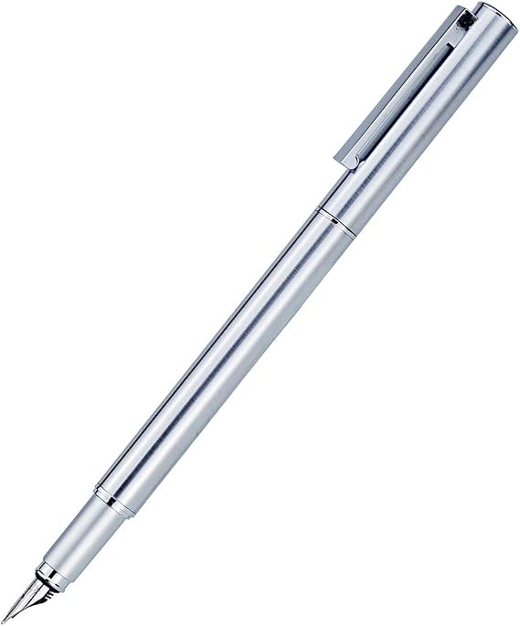 Hongdian 516 Stainless Steel Fountain Pen Fine Nib, Classic Design with Converter and Pen Pouch