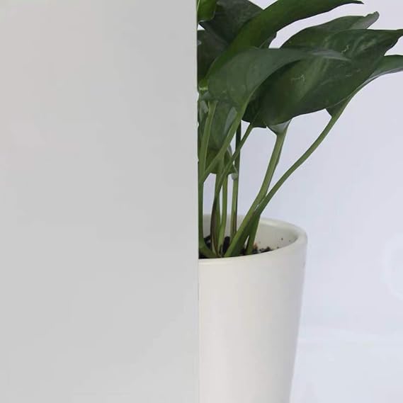 Privacy Matte White Window Film, White Frosted Window Sticker, Adhesive Opaque Window Tint for Home, Office, Bathroom, Meeting and Living Room, 60Inch x 16.5Feet
