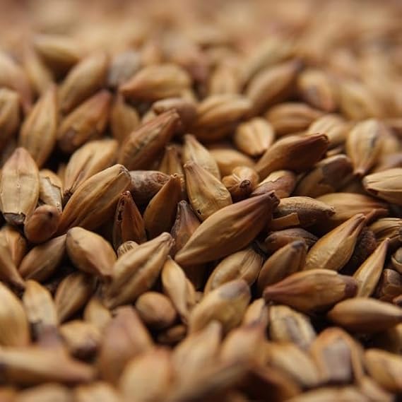 Weyermann Caramunich Type I Malt 1 LB Unmilled Crystal Caramel Malt