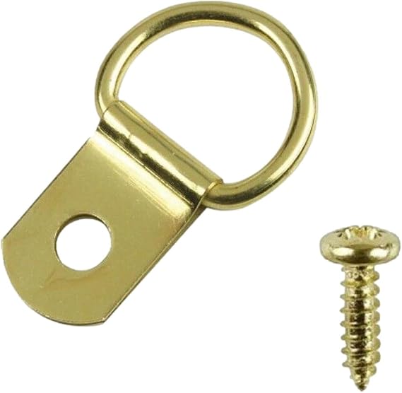 Taskar Brass Drings & Screws for Picture Frame Hanging (500 Pack)