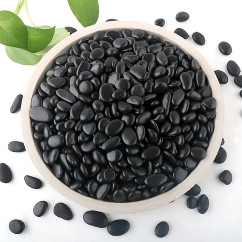 2lb Black Rocks for Planters- 14 - 34 Polished Black Stones Smooth Flat Pebbles for Fish Tanks Decorative River Rocks for Vases Bonsai Pots Garden Stones for Landscaping and Yards