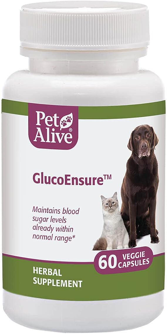 PetAlive GlucoEnsure - All Natural Herbal Supplement for Maintaining | Blood Sugar (Glucose) Levels Already in the Normal Range in Pets