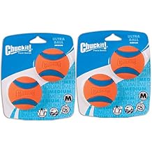 Chuckit! Dog Ball