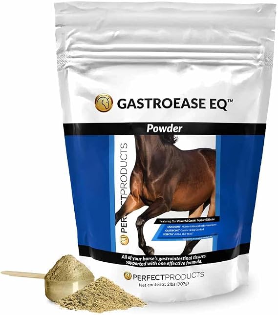 GastroEase EQTM Complete Digestive Support Powder 2LB