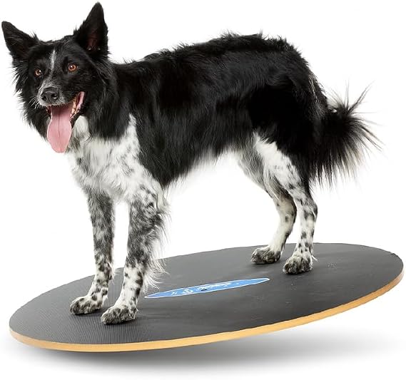 FitPaws Wobble Board, Dog Balance Core Fitness Rehab Tool, Dog Fitness