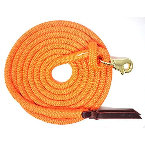 14 FT Lead Rope with BPS Snap
