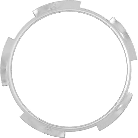 Delphi FA10008 Lock Ring