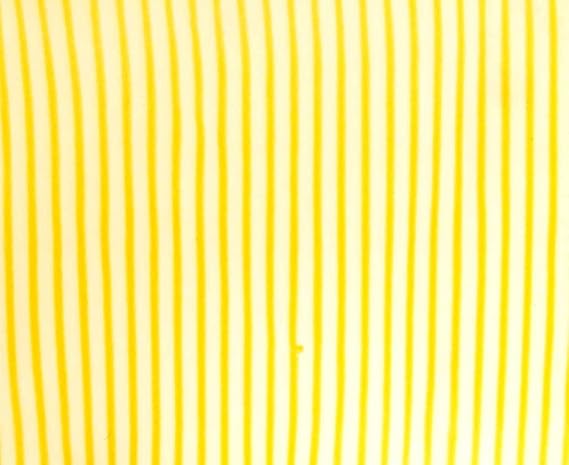 3D Lenticular Sheets - Yellow 3D Stripes