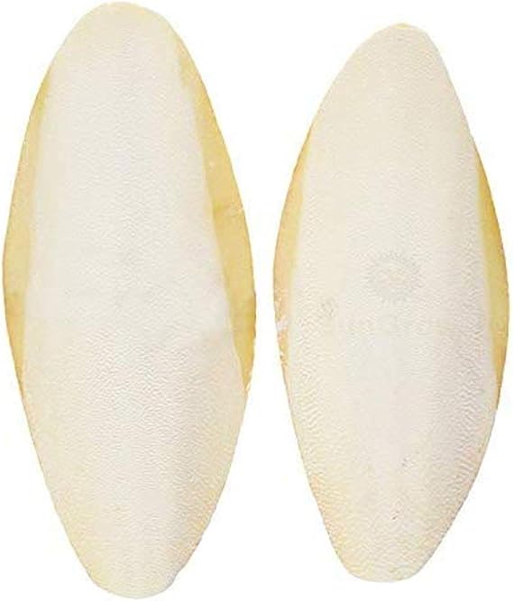 SunGrow 2 Pack Large 6 inch Cuttlefish Bones, Made with Real Cuttle Fish, Calcium Source for Parakeets, Turtles, Dog, Chicken, Pleco, Snails, and Shrimps