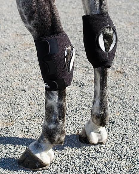 Ice Horse Single Pony Hock Wraps for Equine Therapy -  with 3 Ice Packs