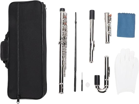 Flutes Instrument, 16 Hole C Tone E Key Closed Hole Flute with Leather Gaskets Curved Head Joint for Beginners Professionals