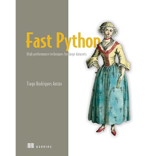 Fast Python: High performance techniques for large datasets