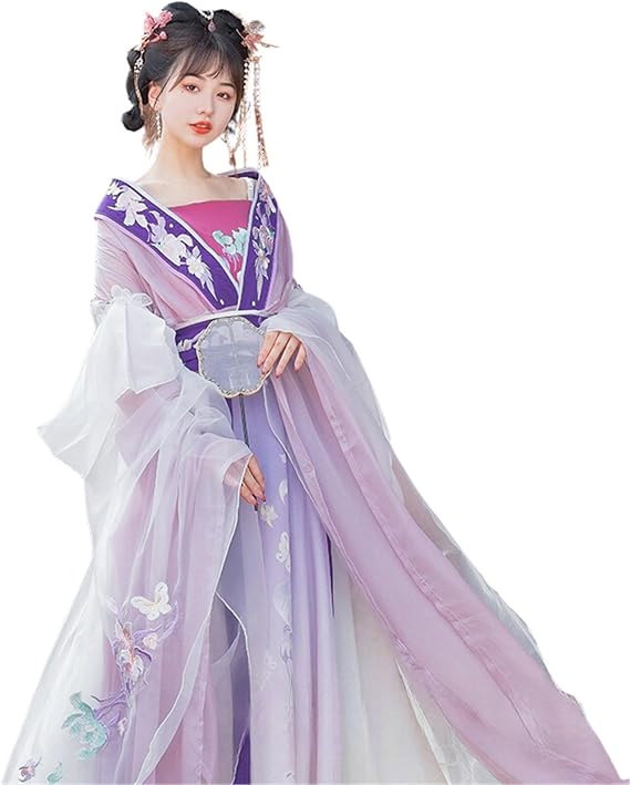 Chinese Style Embroidery Hanfu Tang Ming Dynasty Dance Costume Clothing Embroidery Hanfu Skirt Cosplay Hanfu