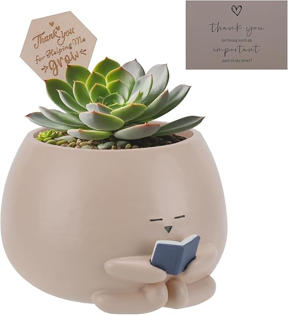 Bookworm Planter Pot - Cute Plant Pots for Succulents with Thank You Sign & Card, Small Reading Planter for Indoor Outdoor Decor, Succulent Gifts for Book Lovers, Teacher Dad Mom Appreciation