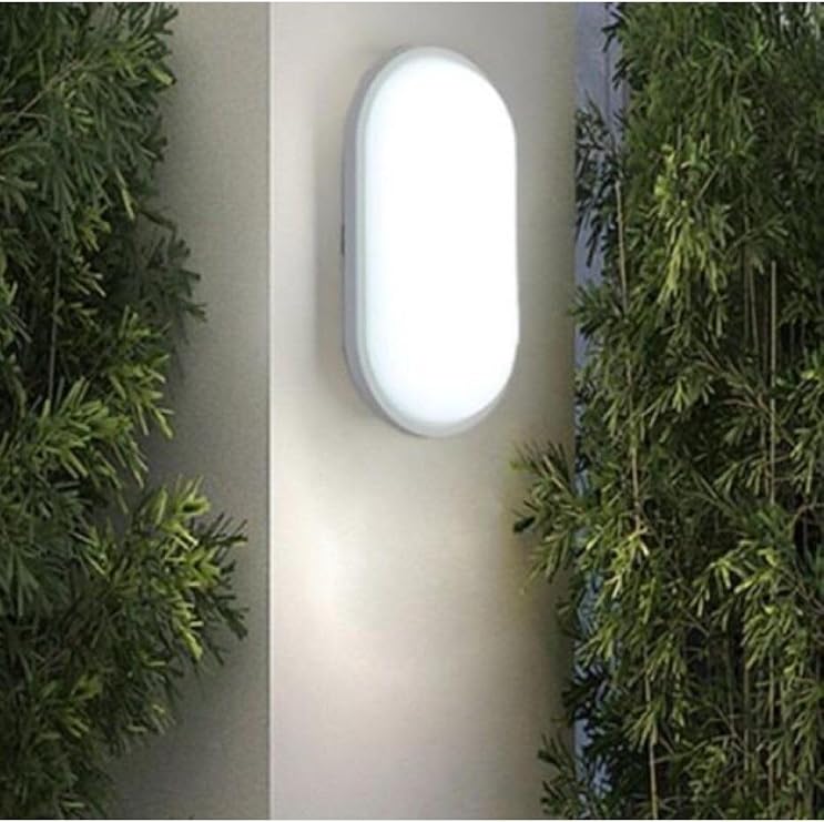 Ucuz Geldi Banyo Tavan Lambası Aydos 20W Oval Balkon Tavan Lambası 6400K Beyaz LED Işık Teras Duvar Lambası (Beyaz)