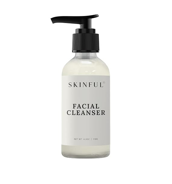 Skinful Gentle Facial Cleanser Face Wash for All Skin Types, 4oz