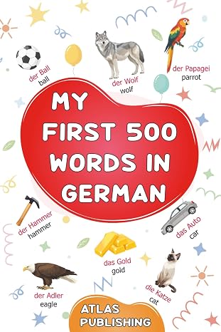 My first 500 words in German: An English-German bilingual visual dictionary with illustrated words on everyday themes - A picture book to learn German for kids, teens, and beginner adults