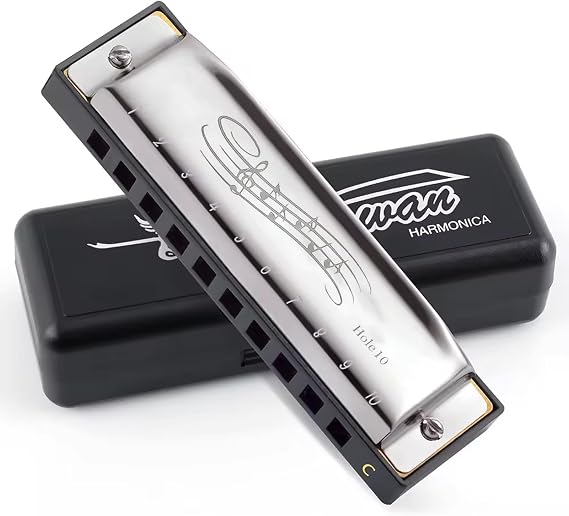 10 Hole C Key Harmonica with Case, Mini Blues Mouth Organ for Beginners