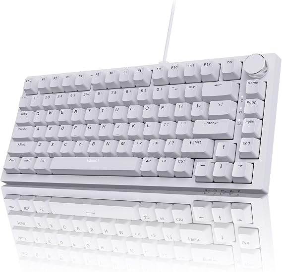 AJAZZ AK820 Wired Mechanical Keyboard, 75% QWERTY Layout 82-Key Hot-Swappable Gaming Keyboard with Volume Control Knob, PBT Keycaps, Blue Switches, Ice Blue North-Facing LED Lighting Effect, White
