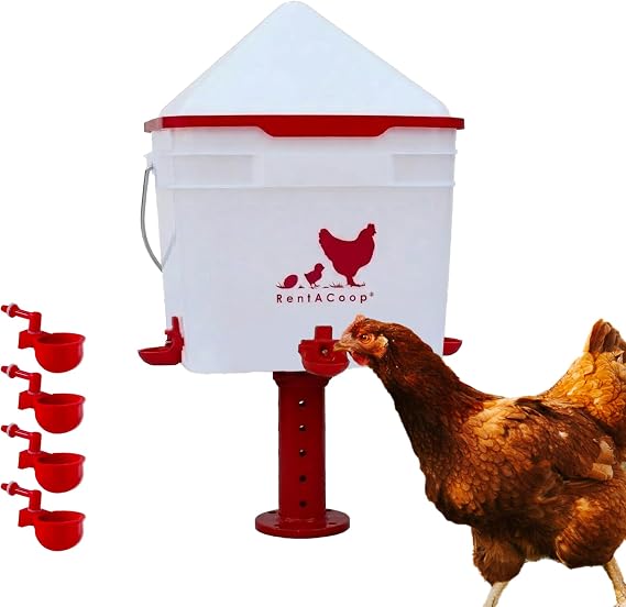 RentACoop 2 Gallon Chicken Waterer with Cups & Nipples, Center Placement