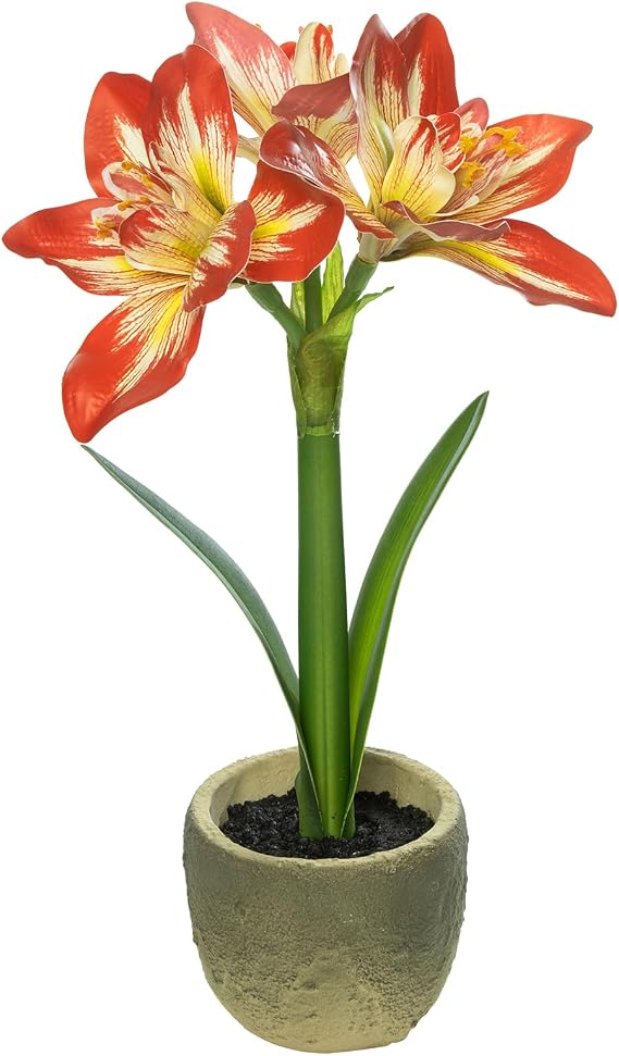 Coferset Lifelike Fake Amaryllis Flower with Pot,Red