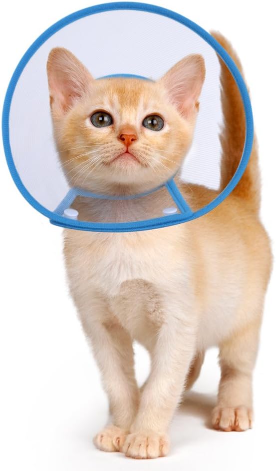 Cat Cone Collar, to Stop Licking, Recovery Elizabethan After Surgery, Clear Soft Neck E-Collar, Not Block Vision, for Kitten Puppy Dog Pet in Surgery Remedy - S in Blue | Stop Licking, Soft Cone, Clear Vision, Soft Padded Neck, Recovery Collar, After Surgery, Kitten Puppy Surgery Remedy