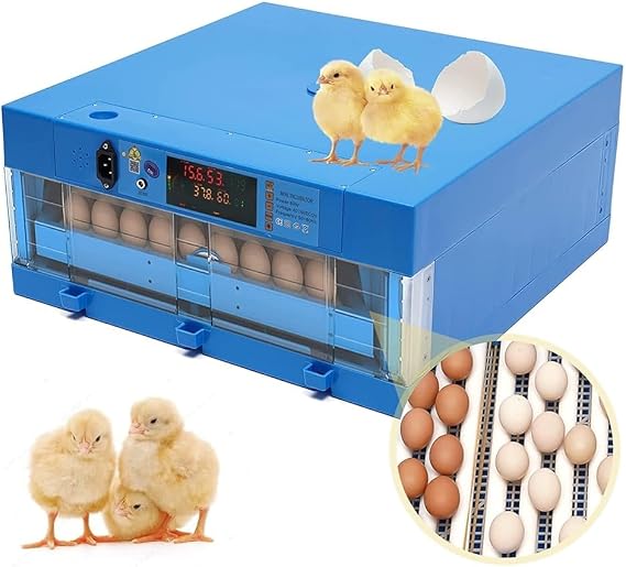 Fertile Chicken Eggs for Hatching, Automatic Egg Turning, Temperature & Humidity Control, Auto Water Refill for Chickens, Ducks, Quail