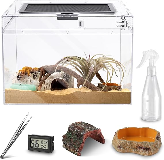 Mini Reptile Terrarium,20x20x20 cm Reptile Tank Top Sliding Door Screen | Ventilation Amphibians Hermit Crabs Insect Habitat Spider Cages, Hygrometer Thermometer, Hide Cave, Vines, Tweezer, Sprayer