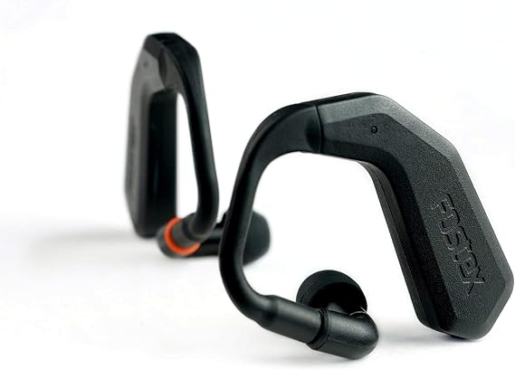 Fostex USA TM2 Earphones, True Wireless Stereo in-Ear System, Black (-TM-2)