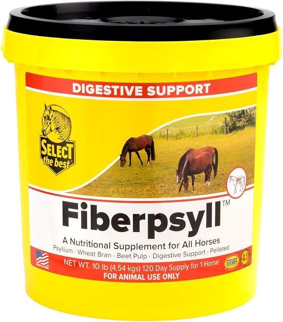 RICHDEL Fiberpsyll Valupak Bag