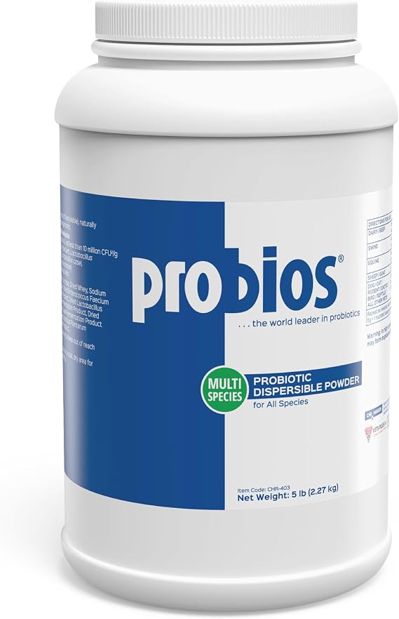Probios Digestive Support Probiotic for Dogs, Horses, Cats, Gut Health Powder for All Species, Daily Supplement for Digestion Immune Support, 5 lbs