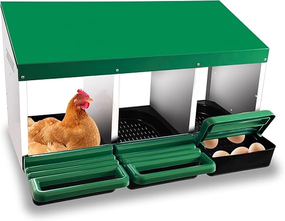 Eggluuz Chicken Nesting Box, 3 Compartments Chickens Egg Laying Nest Boxes for Hens Green
