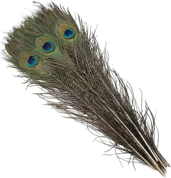 Natural Peacock Feathers 16-18Inch for Home Decor Flower Arrangement Centerpieces Vases Decorations Costumes Hats Crafts Christmas Tree Ornament (10pcs)