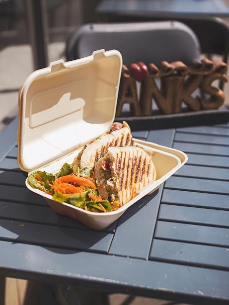 Vegware Compostable 9"x6" Clamshell To Go Containers, Case of 250, Reclaimed Natural Fiber, For Cold or Hot Food, Large Take Out Sandwich Box, Tree-Free, Doesn't Trap Condensation