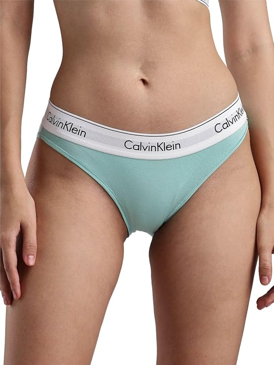 Calvin Klein underwear Women's Modern Cotton Stretch Bikini Panty