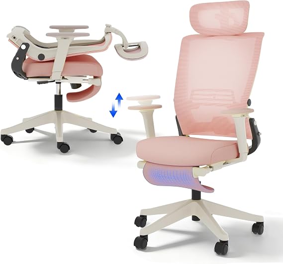 FLEXISPOT Ergonomic Office Chair, Folding Office Chair for Small Spaces with Adjustable Lumbar Support, Armrest and Headrest, Mesh Desk Chair with Footrest for Home Work, Flora & Fauna Serie