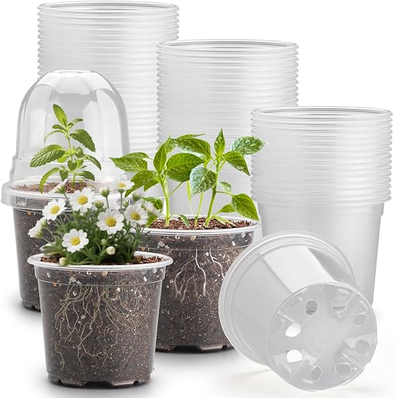 RooTrimmer 60 Pack Clear Nursery Pots with Humidity Domes, 4 Inch Plastic Plant Pots with Drainage Holes for Seedlings, Transparent Seed Starting Pot for Cuttings Propagation Indoor Gardening
