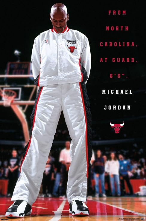 Michael Jordan - Chicago Bulls Introduction Wall Poster, 34L" x 22.4W", Unframed Version