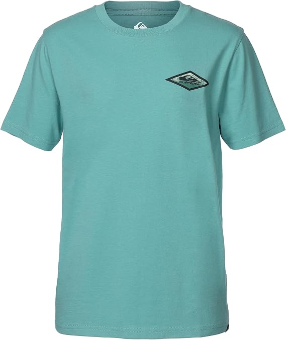 Quiksilver Boys' Short Sleeve Regular Fit Logo Graphic T-Shirt