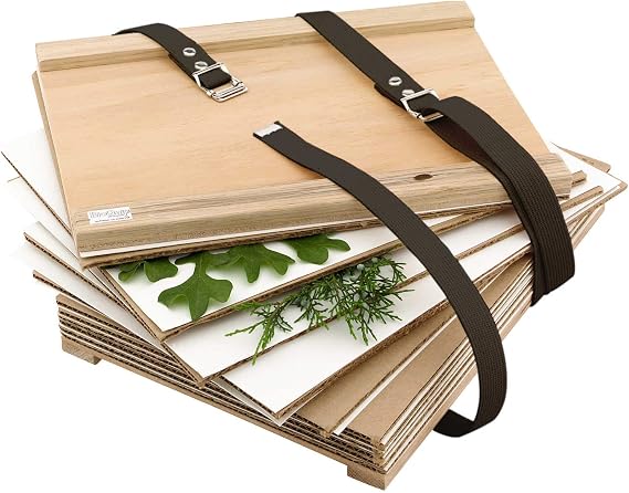Forestry Suppliers Large Student Plant Press, 12" x 18" | Plant Press with 12 Driers, 12 Ventilators & Two 60" Cotton Web Straps | Plywood Frames with Oak Edge Strips