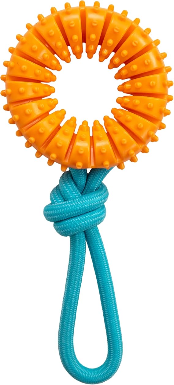 Dental Chew Wheel Durable Dog Toy, Tug & Chew, Mint Scent, 9.6"